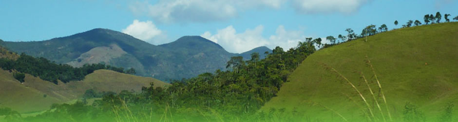 Banner Principal 01